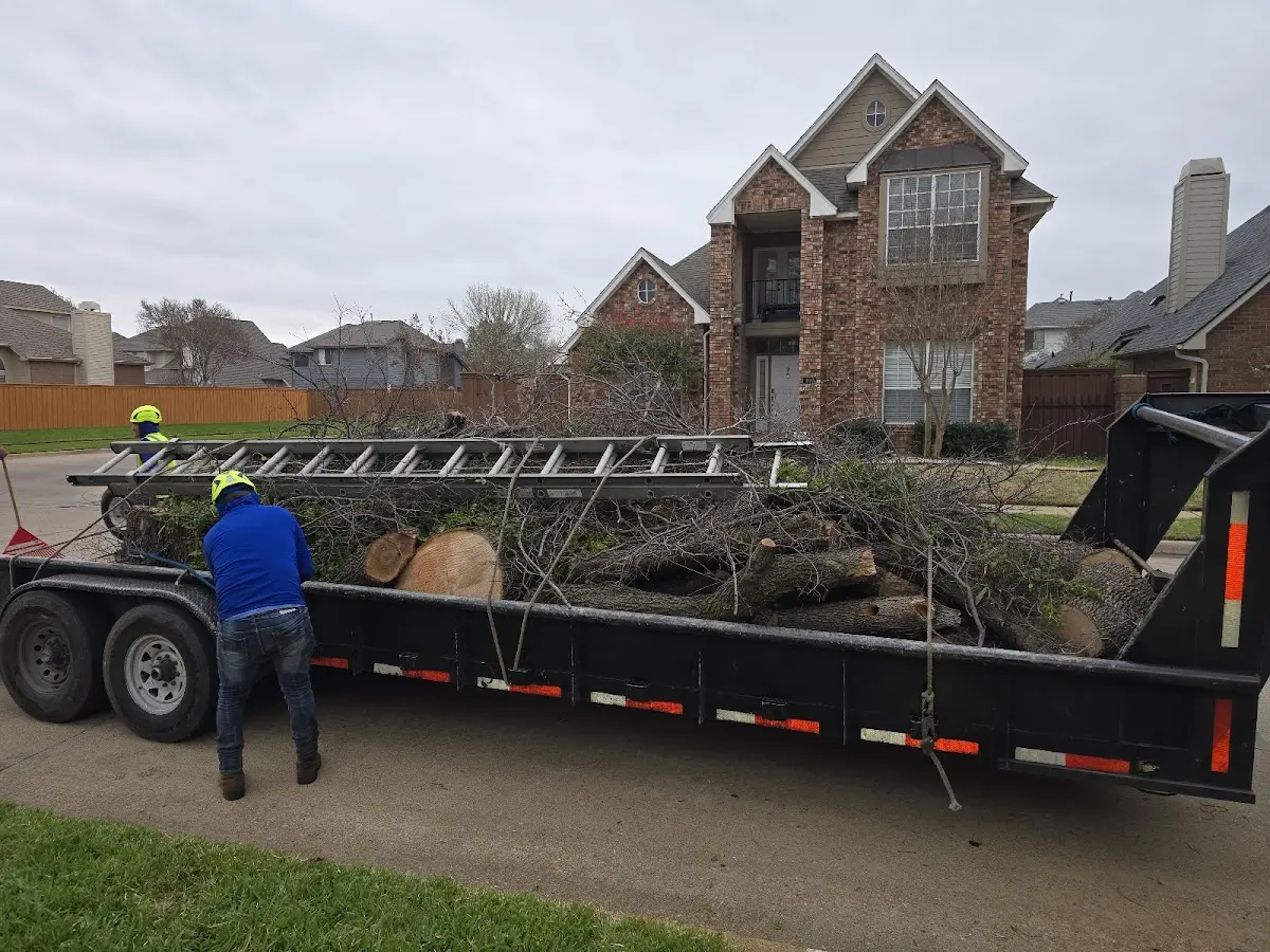 Expert Tree Fertilization with proper safety equipment in Saint Charles